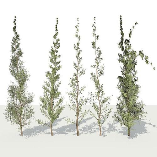5 Diff Tree ( Thin - > Thick ) preview image